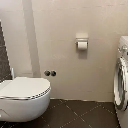 Spacious Modern Close To The